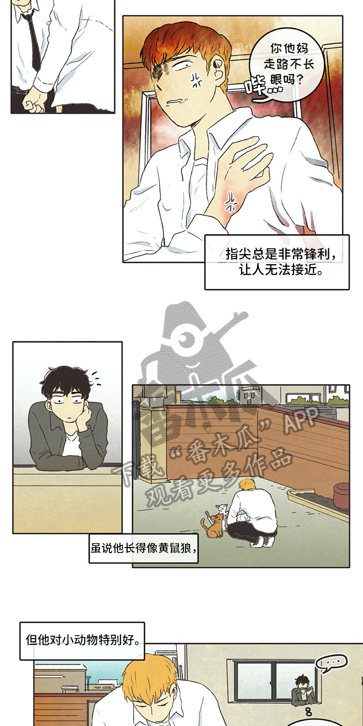 《同存简介》漫画最新章节第14章：租客免费下拉式在线观看章节第【8】张图片