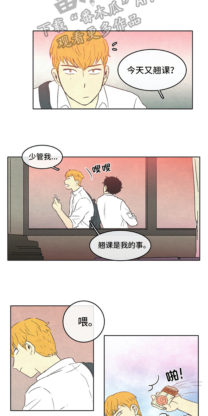 《同存简介》漫画最新章节第32章：分享免费下拉式在线观看章节第【4】张图片