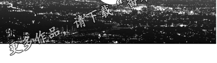 《老虎的猎物》漫画最新章节第10章：条件免费下拉式在线观看章节第【1】张图片