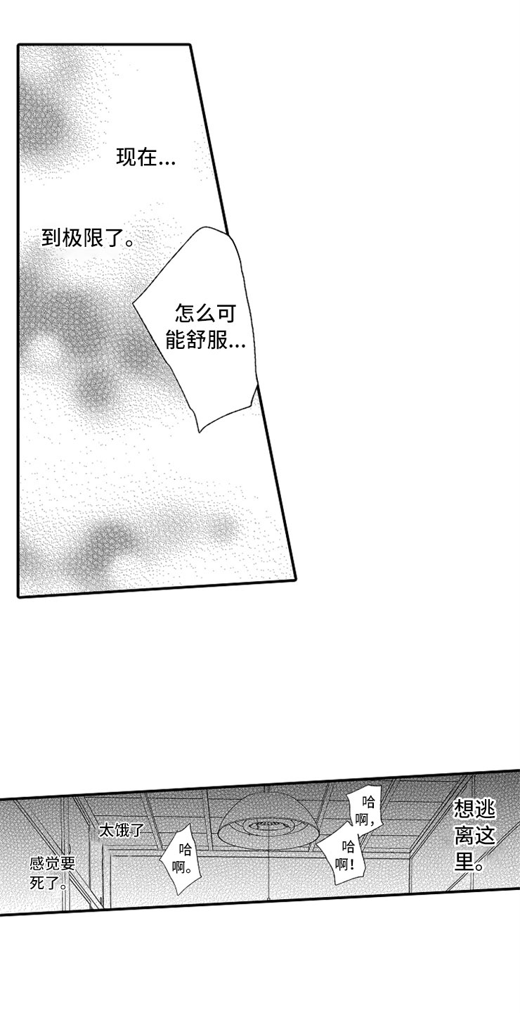 《意外偶遇》漫画最新章节第16章：伪装高手免费下拉式在线观看章节第【7】张图片