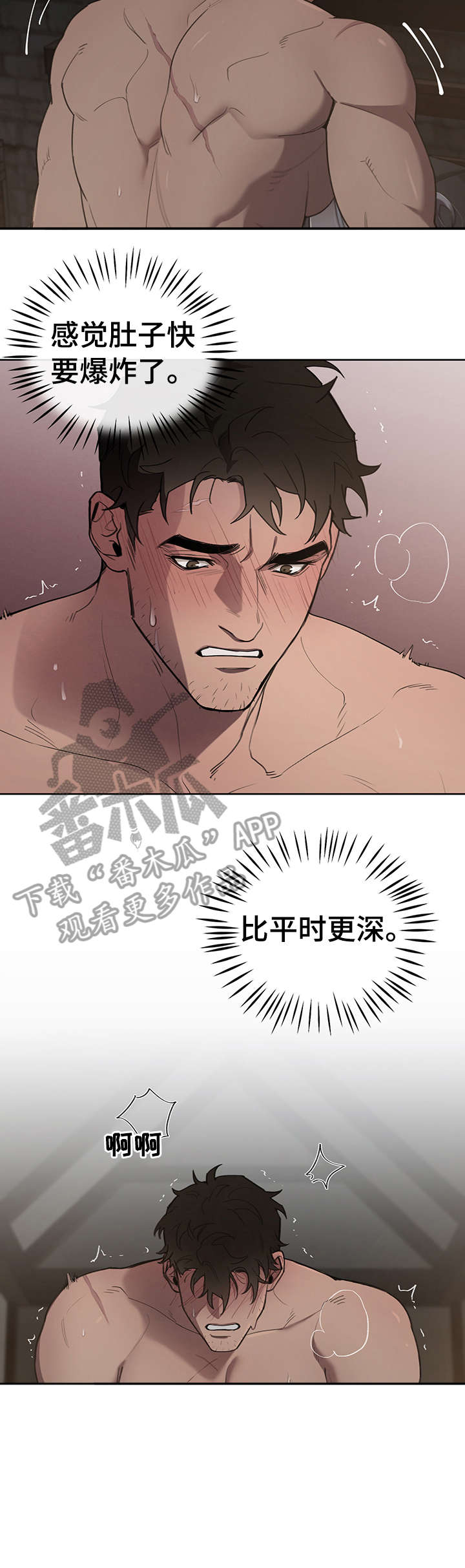 《大公子的玩物》漫画最新章节第15章：迷恋免费下拉式在线观看章节第【11】张图片