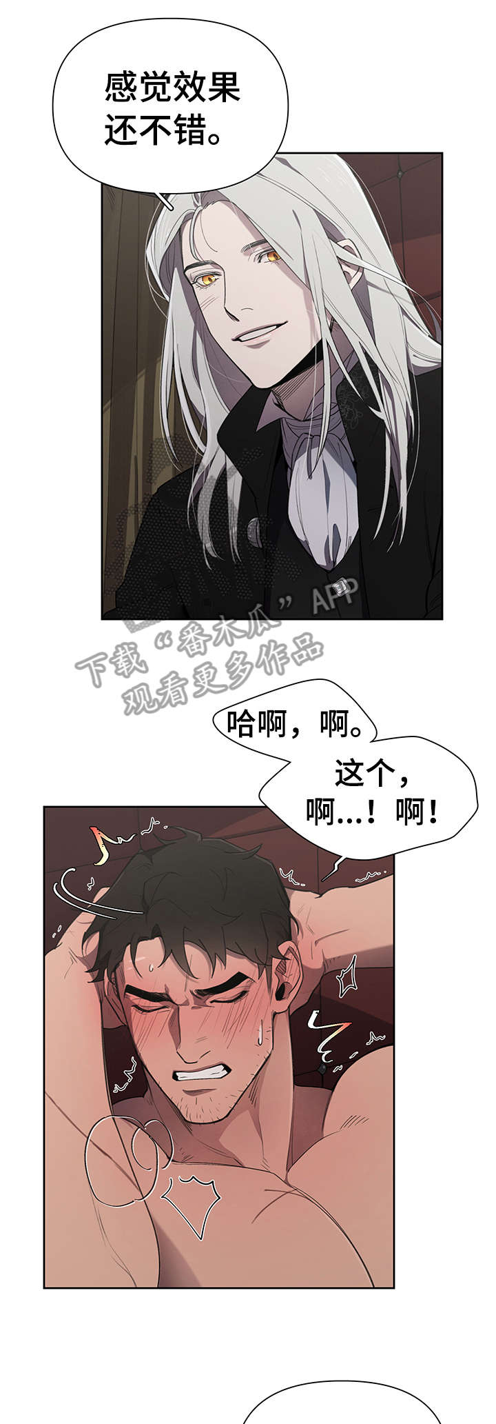 《大公子的玩物》漫画最新章节第17章：礼物免费下拉式在线观看章节第【10】张图片