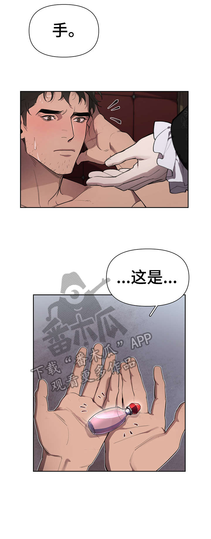 《大公子的玩物》漫画最新章节第17章：礼物免费下拉式在线观看章节第【6】张图片