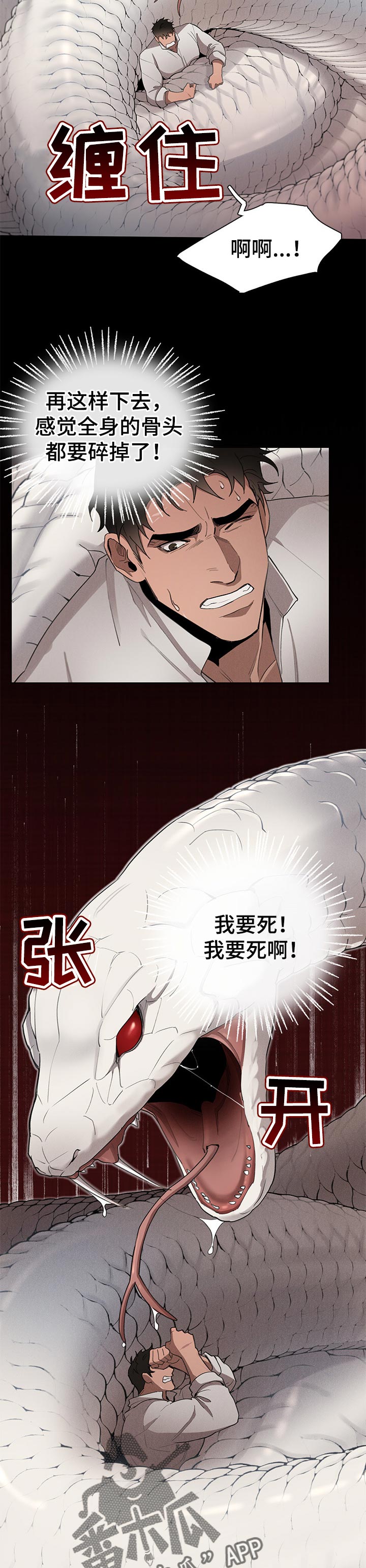 《大公子的玩物》漫画最新章节第28章：噩梦免费下拉式在线观看章节第【11】张图片