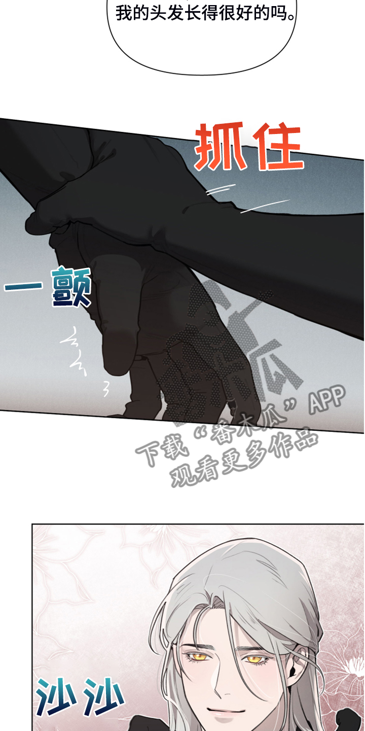 《大公子的玩物》漫画最新章节第52章：理解了免费下拉式在线观看章节第【12】张图片