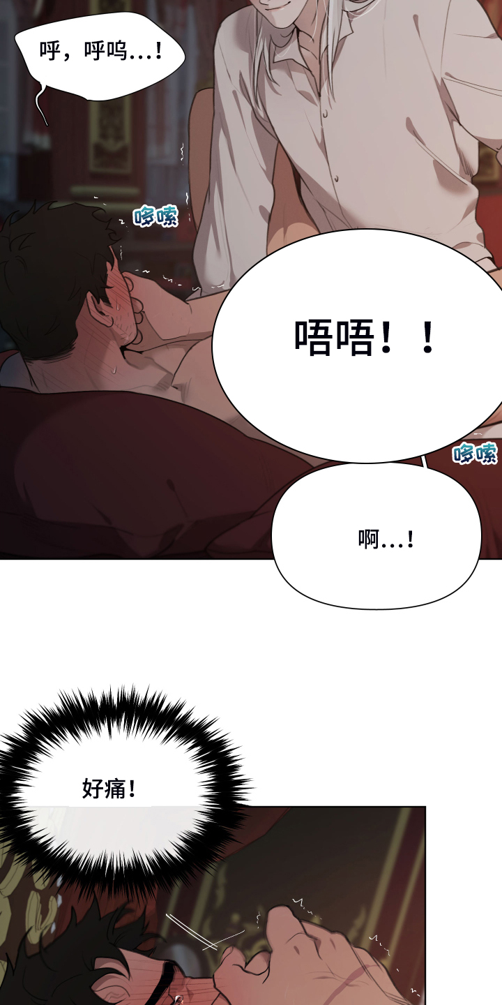 《大公子的玩物》漫画最新章节第54章：就是不相信我免费下拉式在线观看章节第【17】张图片