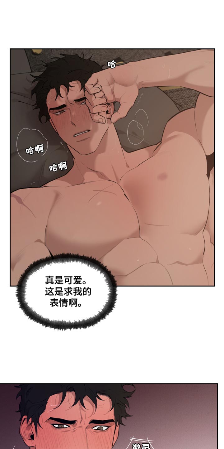 《大公子的玩物》漫画最新章节第79章：【番外】不是讨厌免费下拉式在线观看章节第【13】张图片