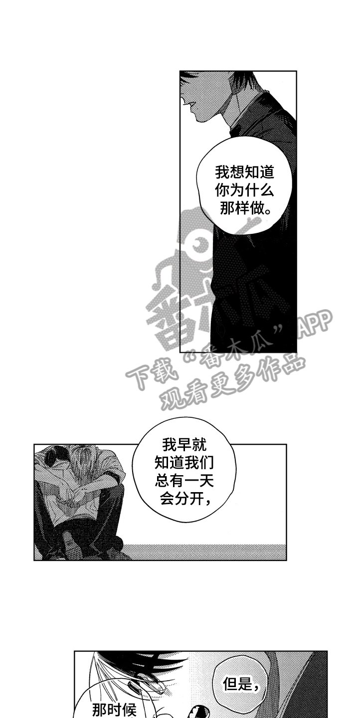 《绝对命令》漫画最新章节第17章：表白免费下拉式在线观看章节第【8】张图片