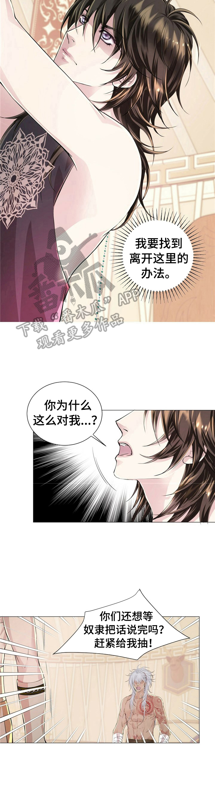 《狼王子》漫画最新章节第13章：晕倒免费下拉式在线观看章节第【8】张图片