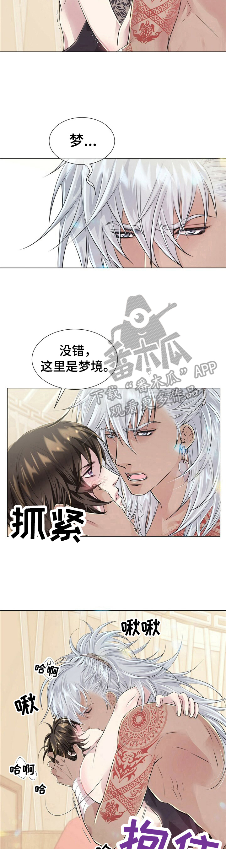 《狼王子》漫画最新章节第15章：似梦免费下拉式在线观看章节第【7】张图片