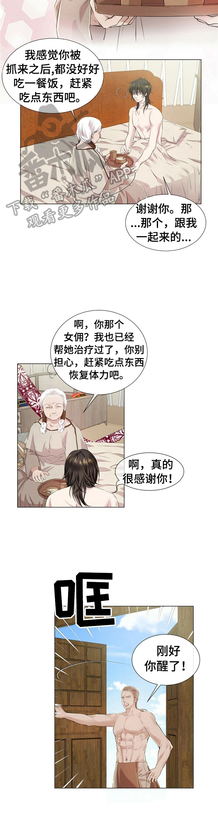 《狼王子》漫画最新章节第16章：安排免费下拉式在线观看章节第【8】张图片