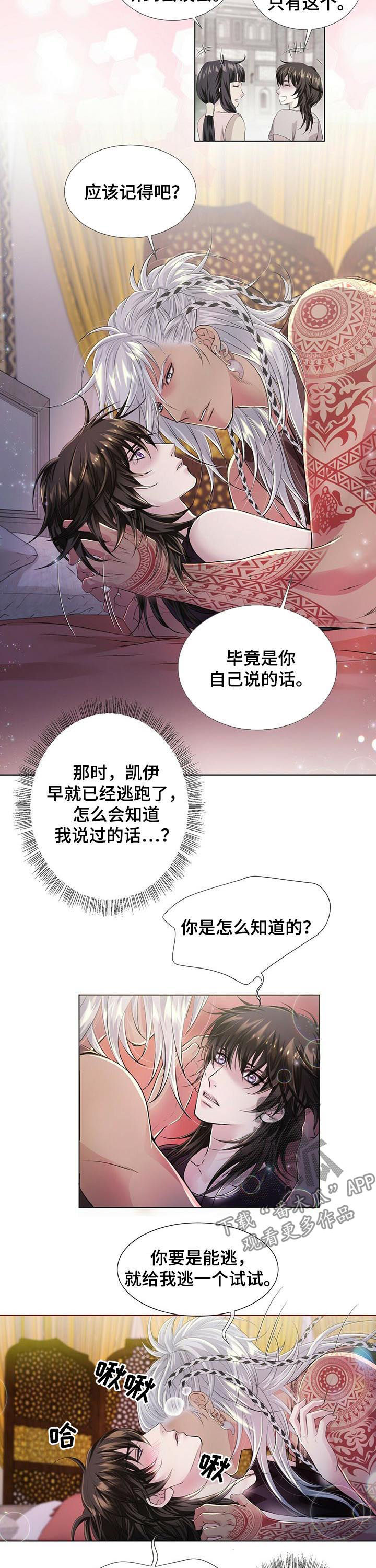 《狼王子》漫画最新章节第38章：宝盒免费下拉式在线观看章节第【2】张图片