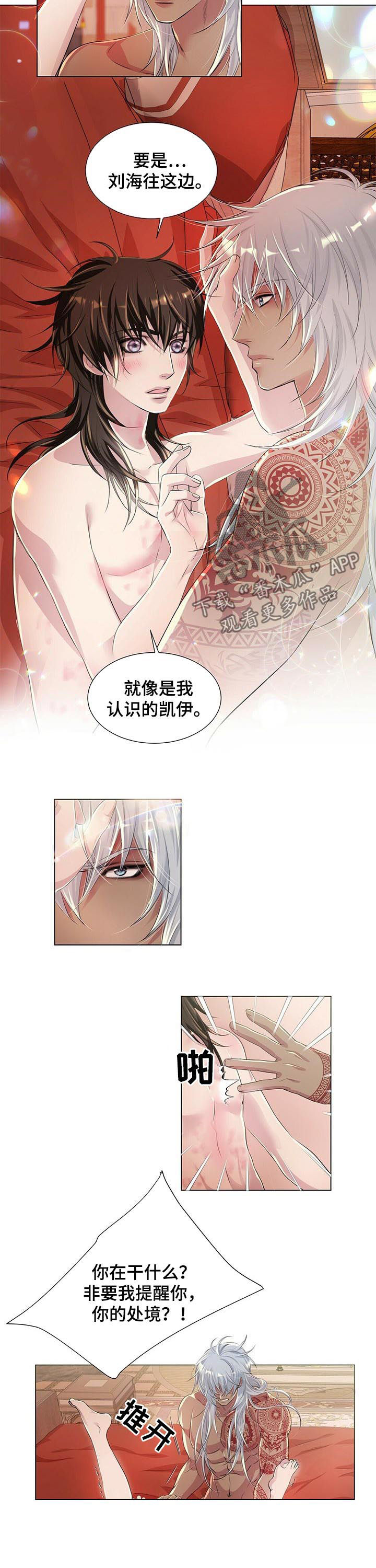 《狼王子》漫画最新章节第41章：不要装免费下拉式在线观看章节第【5】张图片