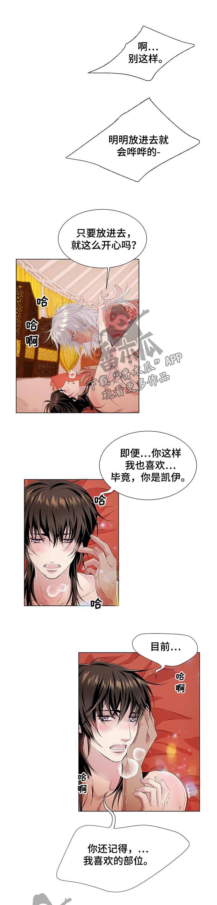 《狼王子》漫画最新章节第41章：不要装免费下拉式在线观看章节第【4】张图片