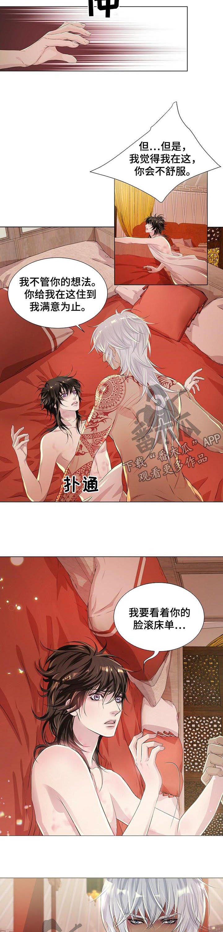 《狼王子》漫画最新章节第41章：不要装免费下拉式在线观看章节第【7】张图片