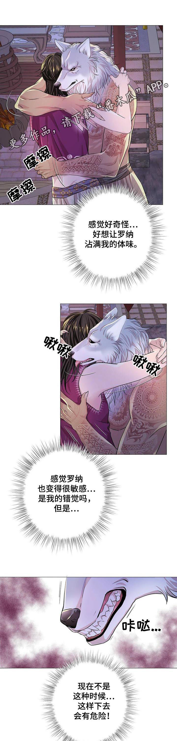 《狼王子》漫画最新章节第60章：不抗拒免费下拉式在线观看章节第【10】张图片