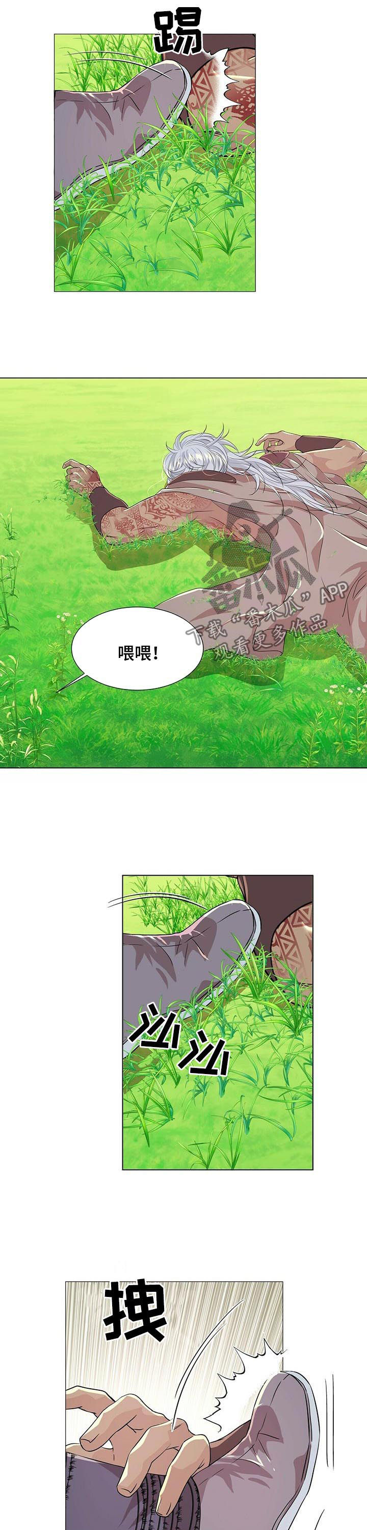 《狼王子》漫画最新章节第73章：未婚夫免费下拉式在线观看章节第【5】张图片