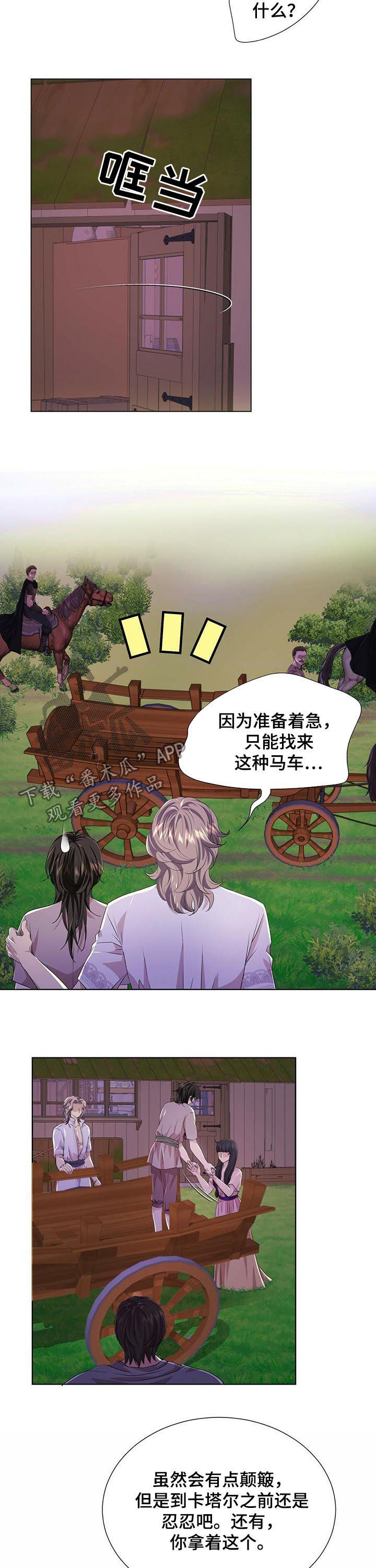 《狼王子》漫画最新章节第75章：去卡塔尔免费下拉式在线观看章节第【3】张图片