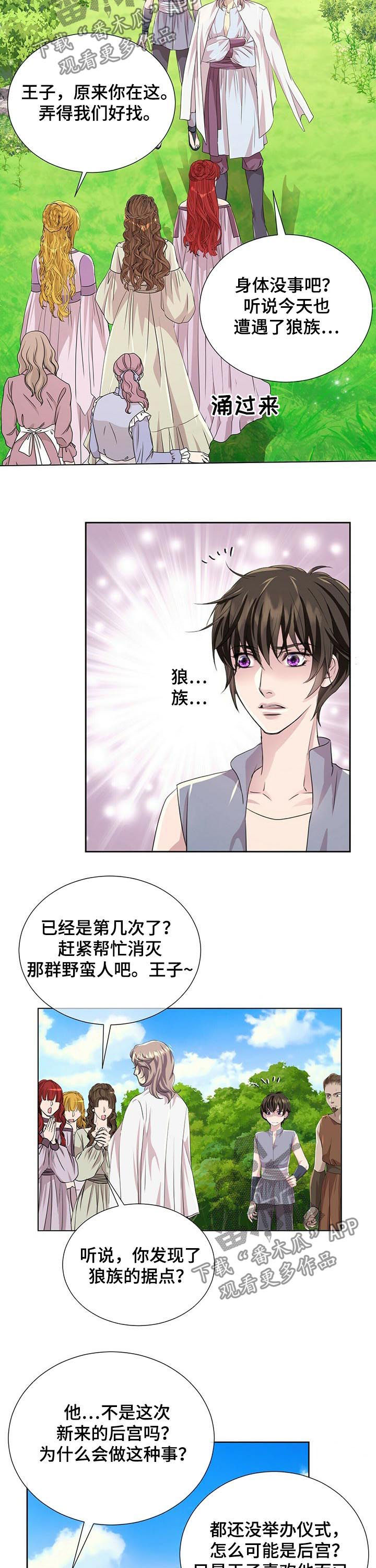 《狼王子》漫画最新章节第77章：新来的后宫免费下拉式在线观看章节第【2】张图片