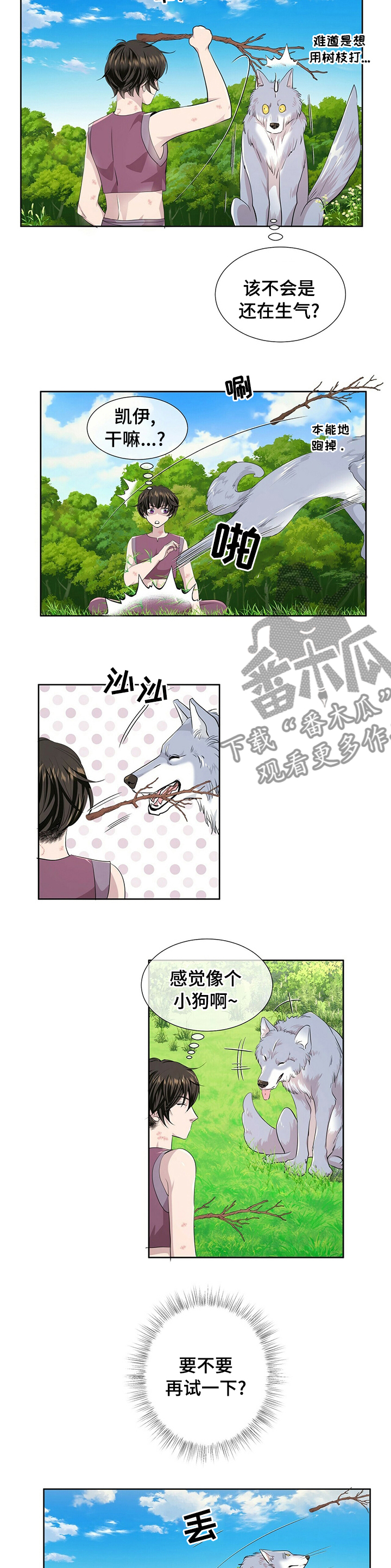 《狼王子》漫画最新章节第99章：【第二季】其他狼免费下拉式在线观看章节第【6】张图片