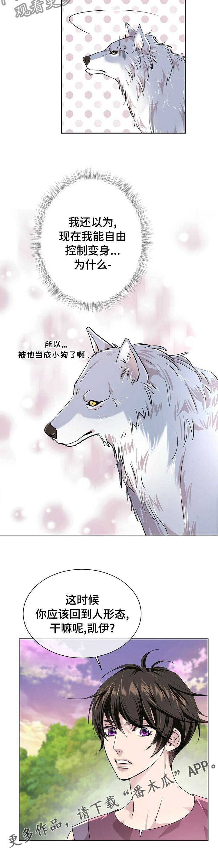 《狼王子》漫画最新章节第103章：【第二季】小狗免费下拉式在线观看章节第【1】张图片