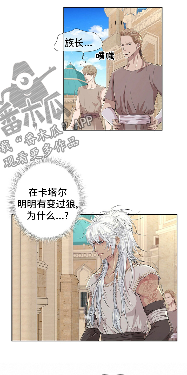 《狼王子》漫画最新章节第108章：【第二季】血统免费下拉式在线观看章节第【12】张图片