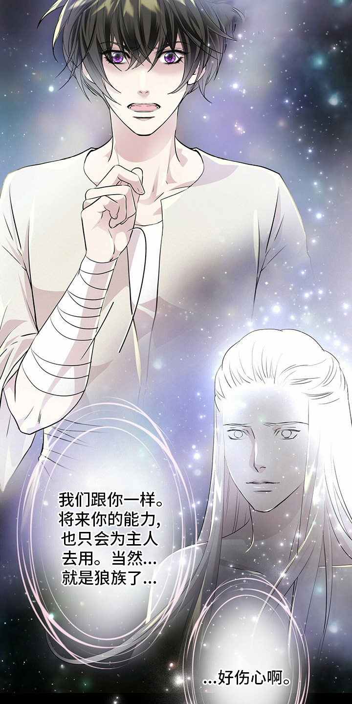 《狼王子》漫画最新章节第112章：【第二季】能力免费下拉式在线观看章节第【22】张图片