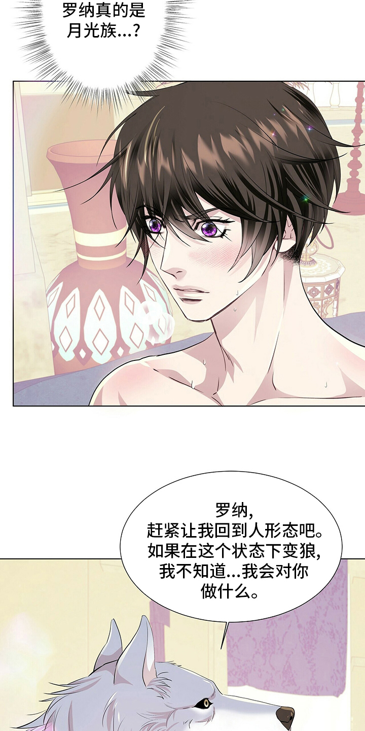 《狼王子》漫画最新章节第117章：【第二季】变化免费下拉式在线观看章节第【13】张图片