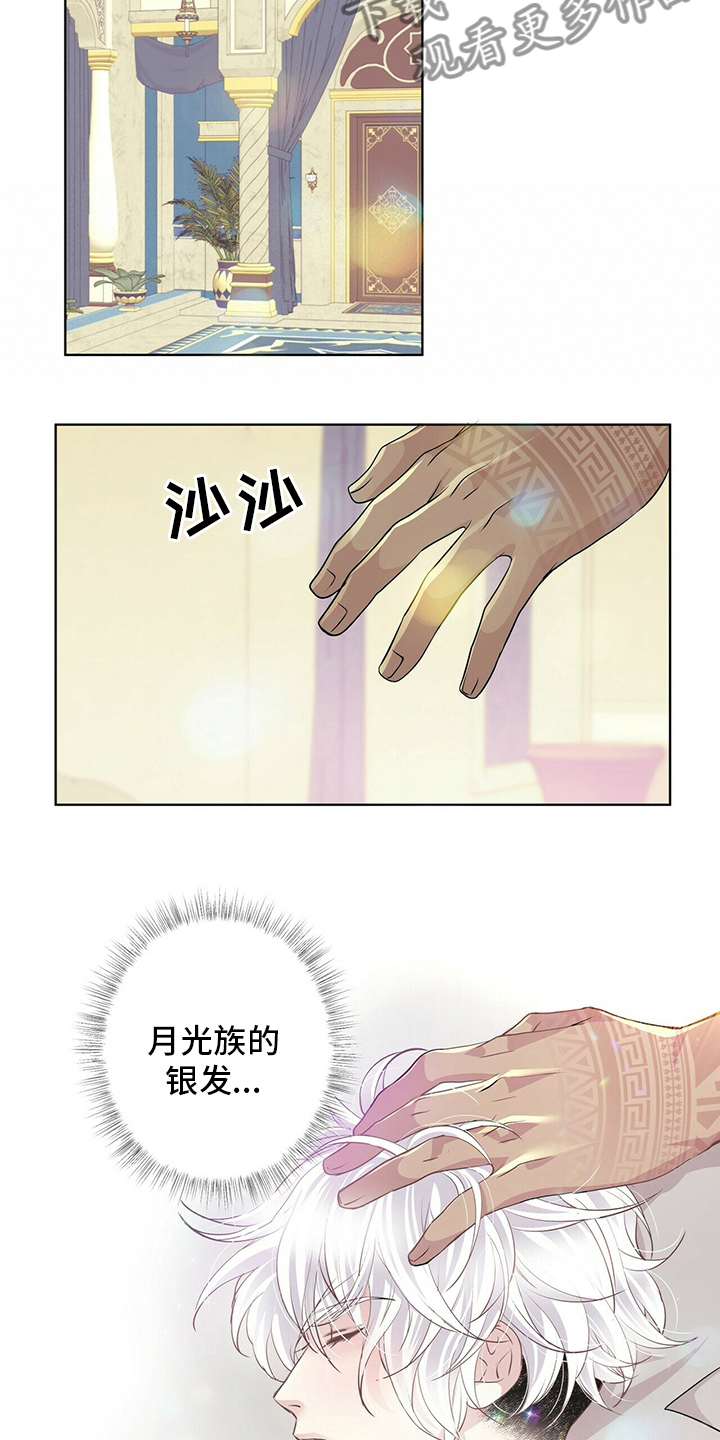 《狼王子》漫画最新章节第117章：【第二季】变化免费下拉式在线观看章节第【4】张图片