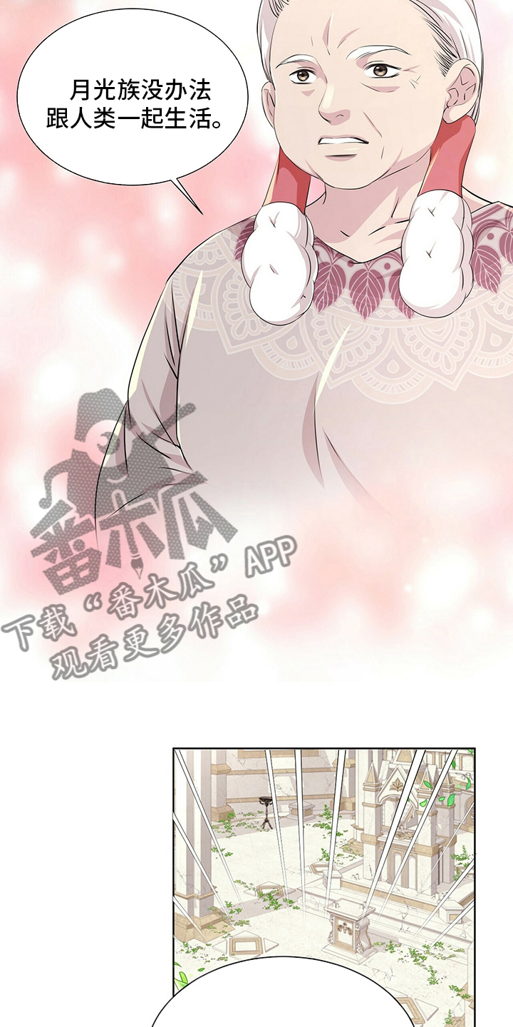 《狼王子》漫画最新章节第126章：【第二季】我带你去免费下拉式在线观看章节第【16】张图片