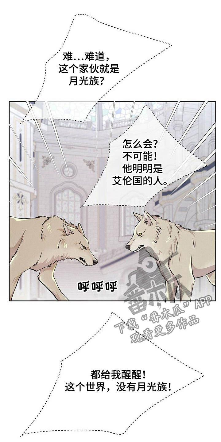 狼王子-第138章：【第二季】对话全彩韩漫标签