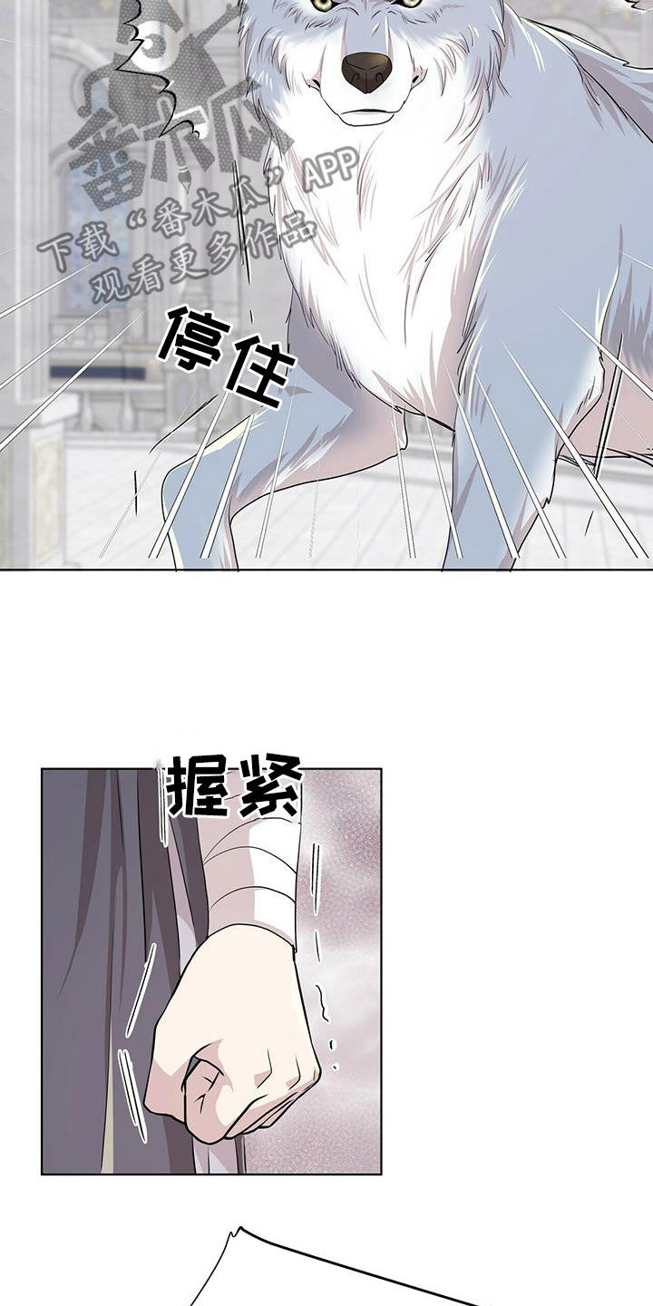 《狼王子》漫画最新章节第139章：【第二季】质问免费下拉式在线观看章节第【3】张图片