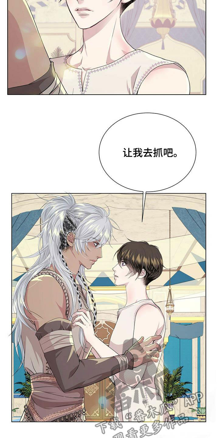 《狼王子》漫画最新章节第141章：【第二季】闪躲免费下拉式在线观看章节第【5】张图片