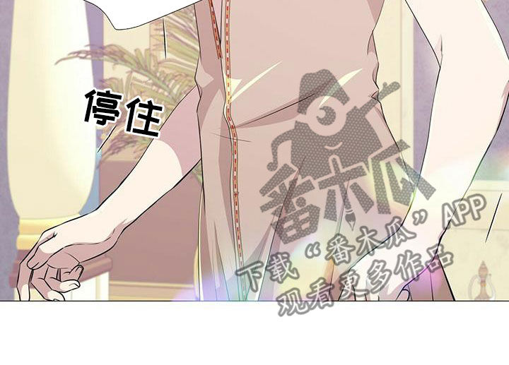 《狼王子》漫画最新章节第149章：【第二季】银发免费下拉式在线观看章节第【12】张图片