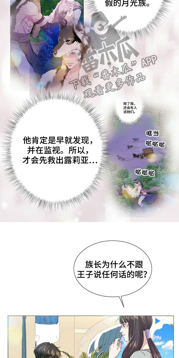 《狼王子》漫画最新章节第149章：【第二季】银发免费下拉式在线观看章节第【16】张图片