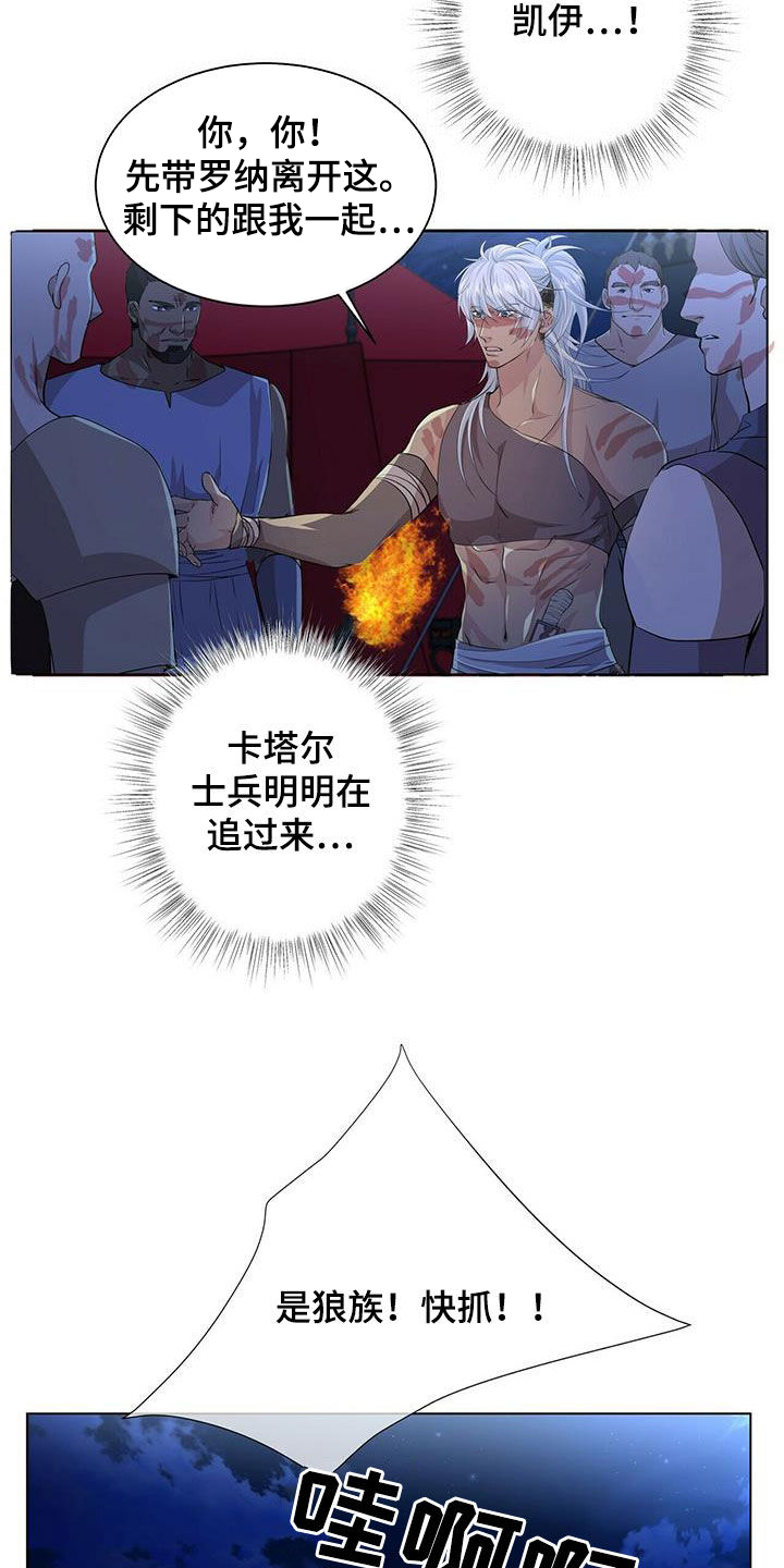 《狼王子》漫画最新章节第152章：【第二季】相遇免费下拉式在线观看章节第【13】张图片