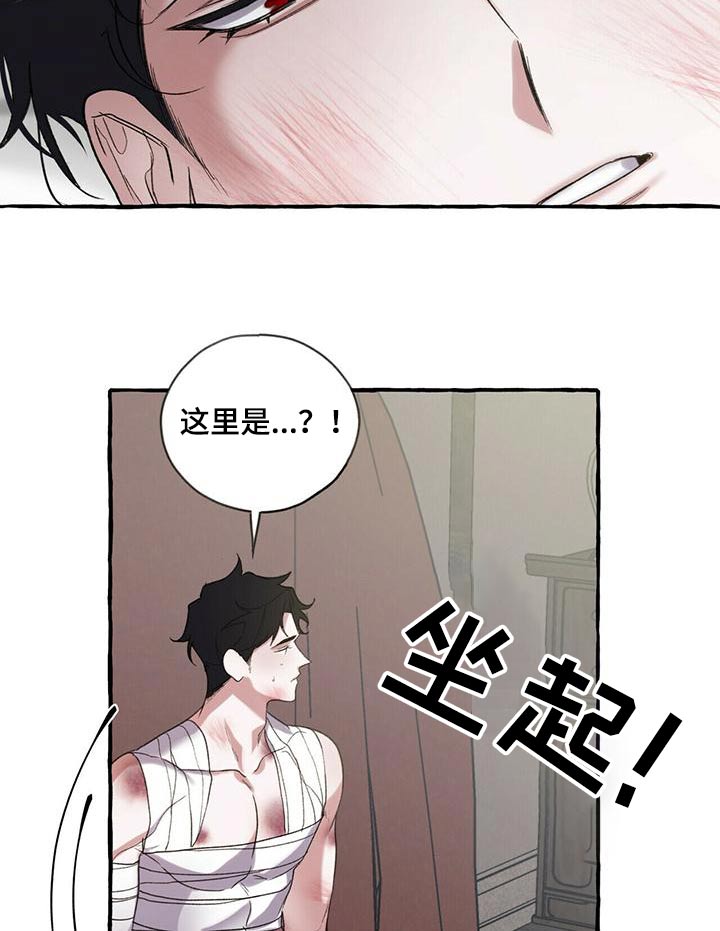 《夜林秘史》漫画最新章节第89章：救我的人免费下拉式在线观看章节第【20】张图片