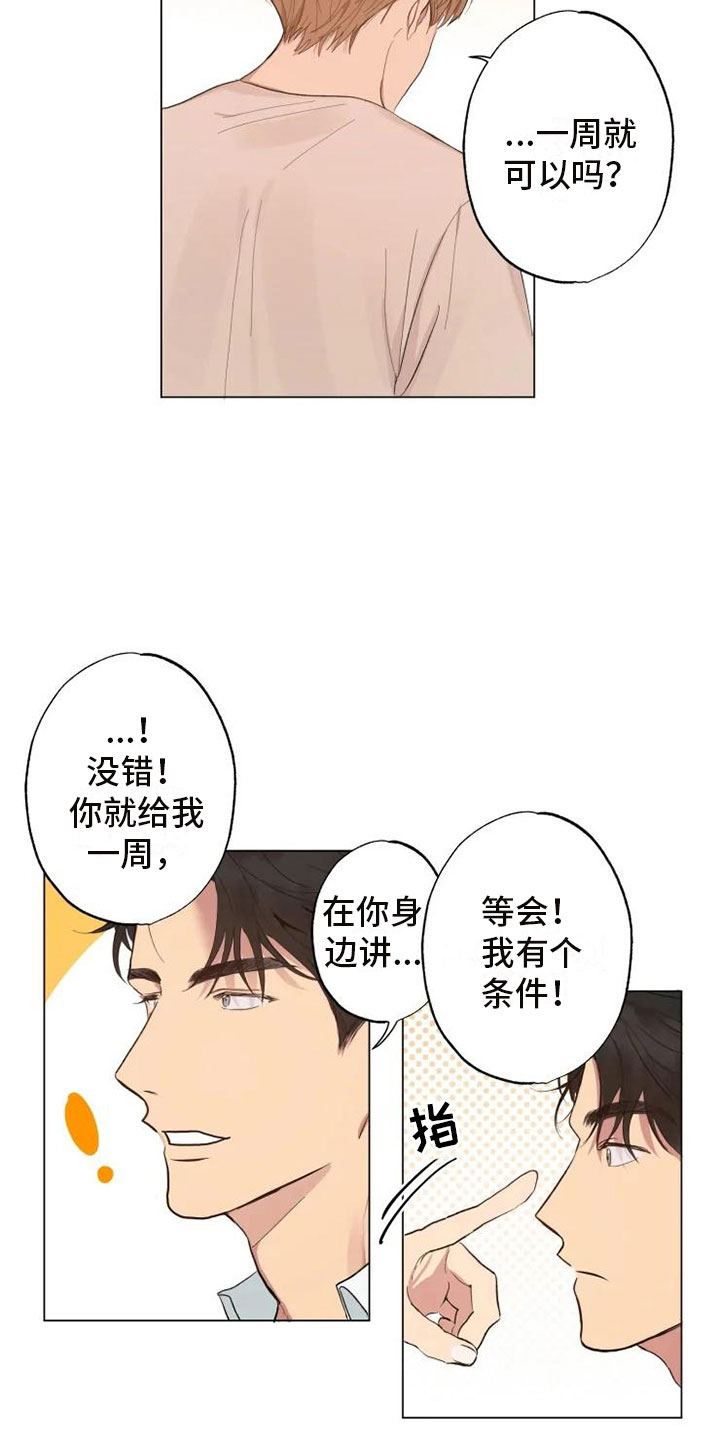 《雨中来客》漫画最新章节第3章：同住一周免费下拉式在线观看章节第【18】张图片