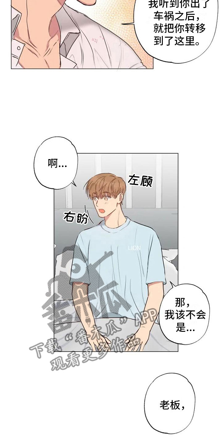 《雨中来客》漫画最新章节第11章：带回家了免费下拉式在线观看章节第【21】张图片