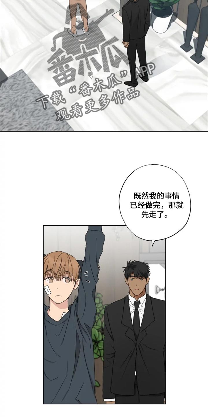 《雨中来客》漫画最新章节第19章：信息材料免费下拉式在线观看章节第【24】张图片