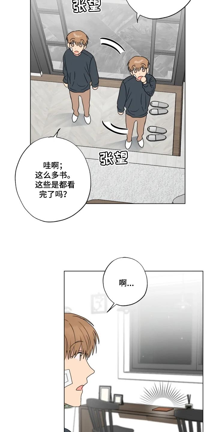 《雨中来客》漫画最新章节第19章：信息材料免费下拉式在线观看章节第【19】张图片