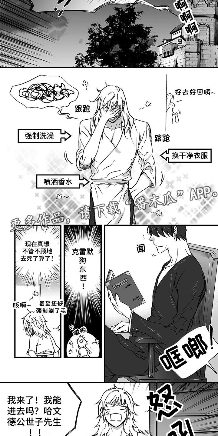 《落魄王子》漫画最新章节第6章：认命免费下拉式在线观看章节第【5】张图片