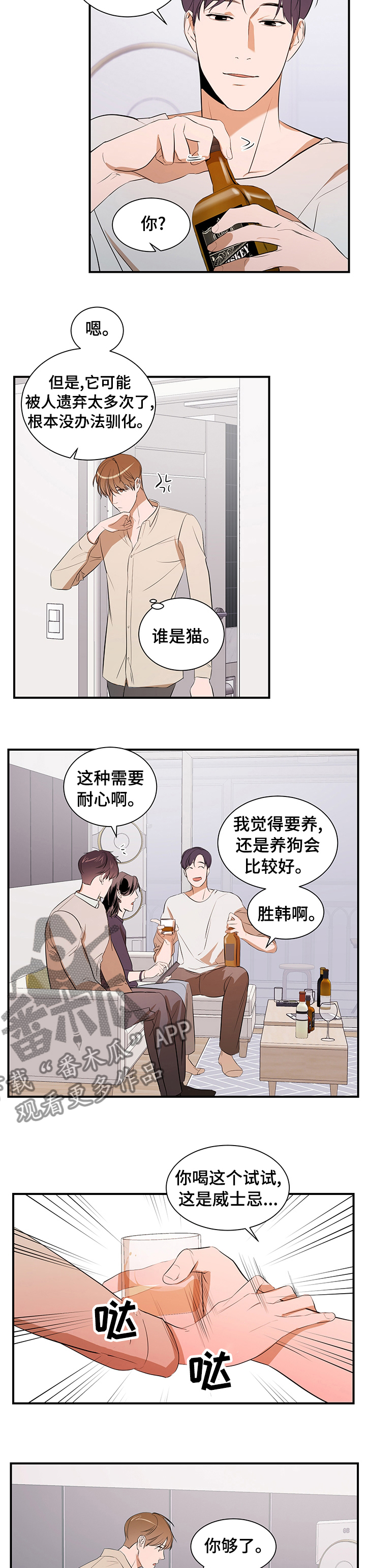 《私人空间》漫画最新章节第63章：一只猫免费下拉式在线观看章节第【6】张图片