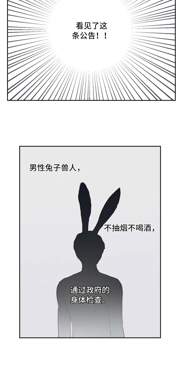 《龟兔同行》漫画最新章节第2章：到达免费下拉式在线观看章节第【5】张图片