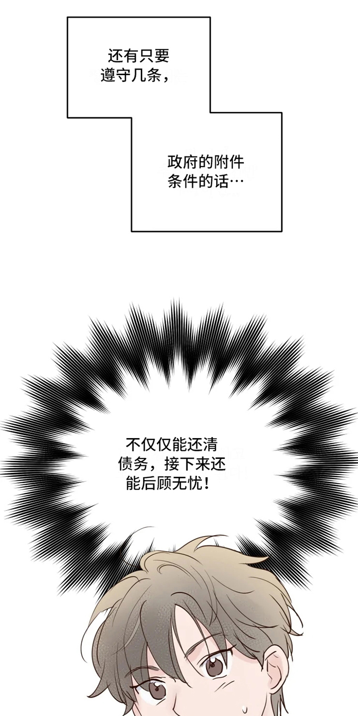 《龟兔同行》漫画最新章节第2章：到达免费下拉式在线观看章节第【4】张图片