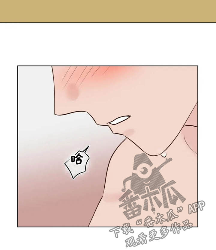 《龟兔同行》漫画最新章节第18章：特别大使免费下拉式在线观看章节第【8】张图片