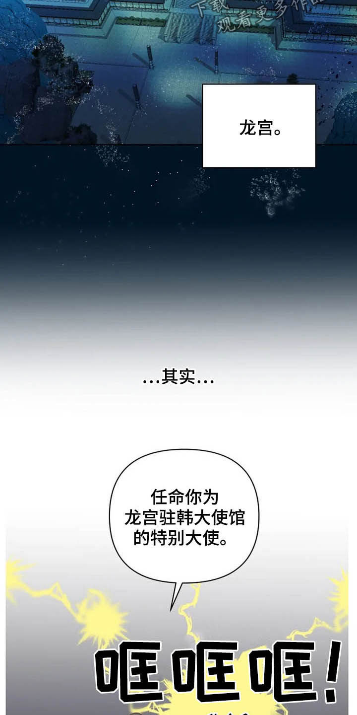 《龟兔同行》漫画最新章节第18章：特别大使免费下拉式在线观看章节第【3】张图片