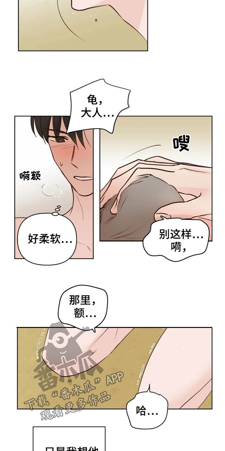 《龟兔同行》漫画最新章节第18章：特别大使免费下拉式在线观看章节第【15】张图片