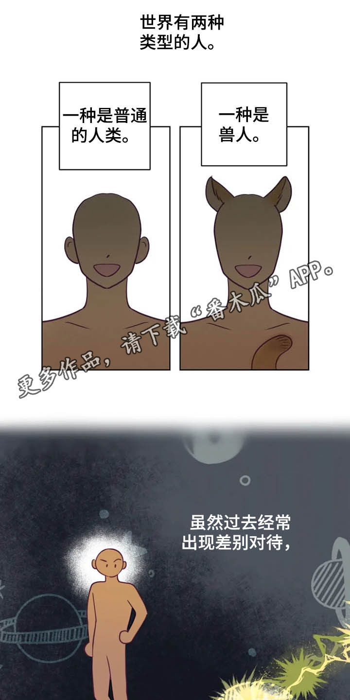 《龟兔同行》漫画最新章节第18章：特别大使免费下拉式在线观看章节第【22】张图片