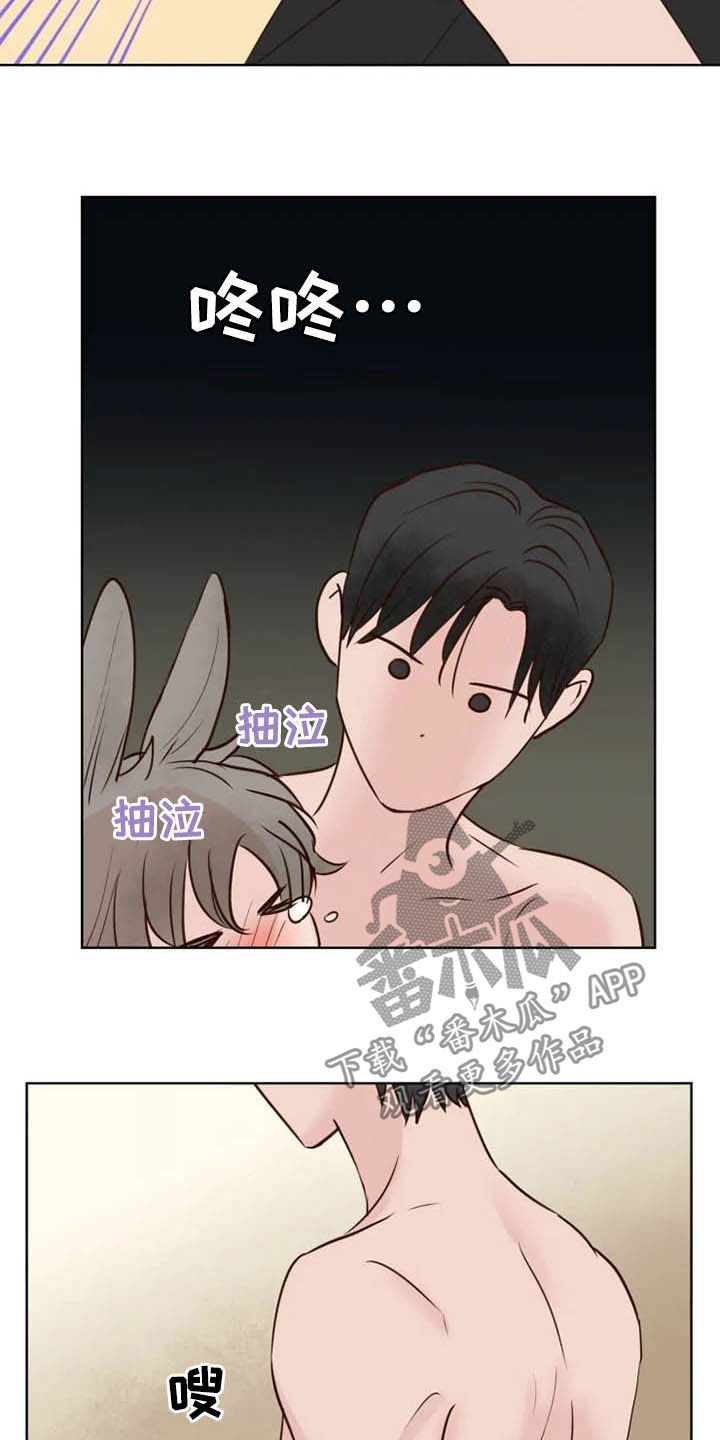 《龟兔同行》漫画最新章节第19章：任重道远免费下拉式在线观看章节第【6】张图片